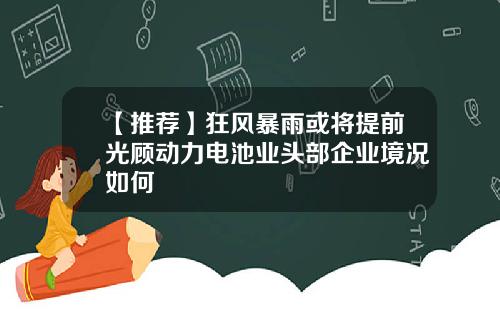 【推荐】狂风暴雨或将提前光顾动力电池业头部企业境况如何