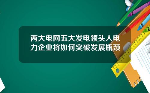 两大电网五大发电领头人电力企业将如何突破发展瓶颈