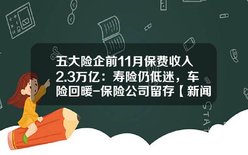 五大险企前11月保费收入2.3万亿：寿险仍低迷，车险回暖-保险公司留存【新闻】.