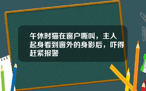 午休时猫在窗户嘶叫,主人起身看到窗外的身影后,吓得赶紧报警