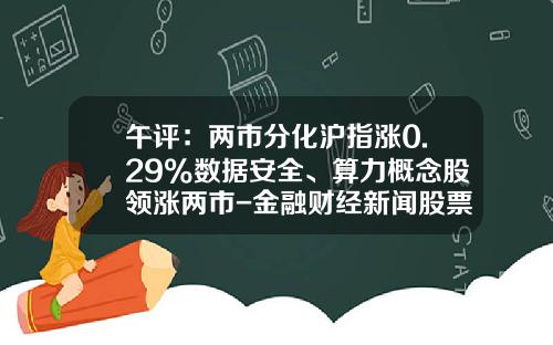 午评:两市分化沪指涨0.29%数据安全、算力概念股领涨两市-金融财经新闻股票投资资讯