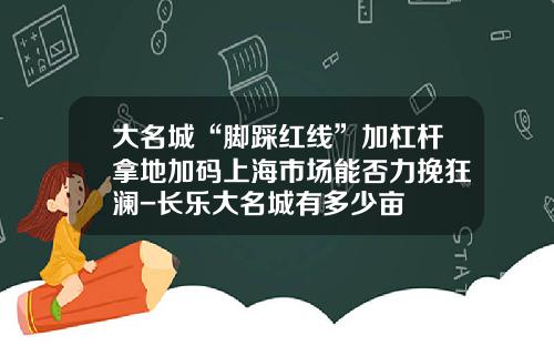大名城“脚踩红线”加杠杆拿地加码上海市场能否力挽狂澜-长乐大名城有多少亩