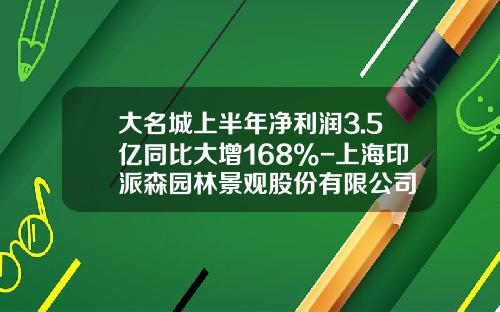 大名城上半年净利润3.5亿同比大增168%-上海印派森园林景观股份有限公司