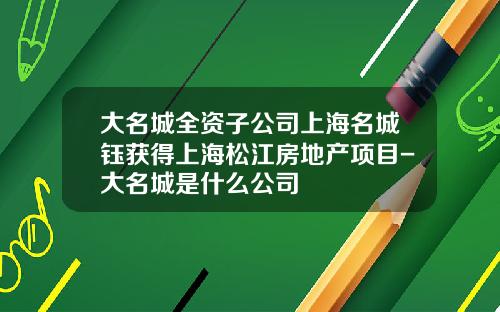 大名城全资子公司上海名城钰获得上海松江房地产项目-大名城是什么公司