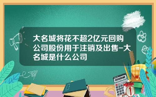 大名城将花不超2亿元回购公司股份用于注销及出售-大名城是什么公司
