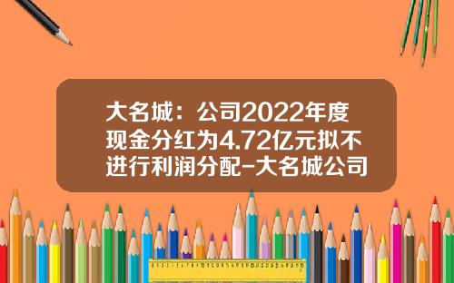 大名城：公司2022年度现金分红为4.72亿元拟不进行利润分配-大名城公司