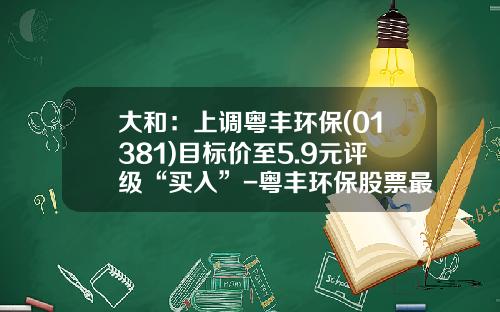 大和：上调粤丰环保(01381)目标价至5.9元评级“买入”-粤丰环保股票最低多少钱可以买