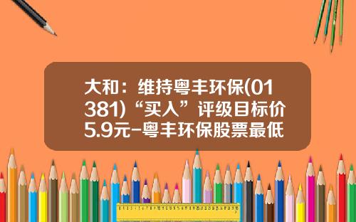 大和：维持粤丰环保(01381)“买入”评级目标价5.9元-粤丰环保股票最低多少钱可以买
