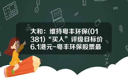 大和：维持粤丰环保(01381)“买入”评级目标价6.1港元-粤丰环保股票最低多少钱可以买