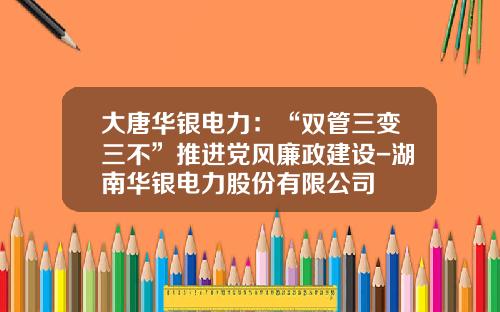 大唐华银电力：“双管三变三不”推进党风廉政建设-湖南华银电力股份有限公司