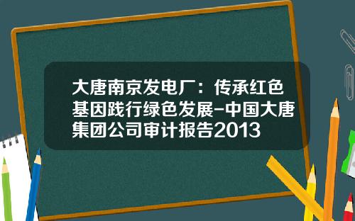大唐南京发电厂：传承红色基因践行绿色发展-中国大唐集团公司审计报告2013