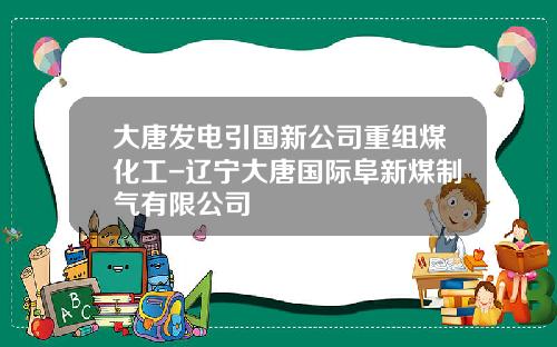 大唐发电引国新公司重组煤化工-辽宁大唐国际阜新煤制气有限公司