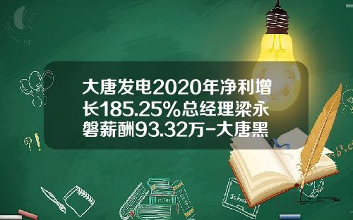 大唐发电2020年净利增长185.25%总经理梁永磐薪酬93.32万-大唐黑龙江发电有限公司待遇