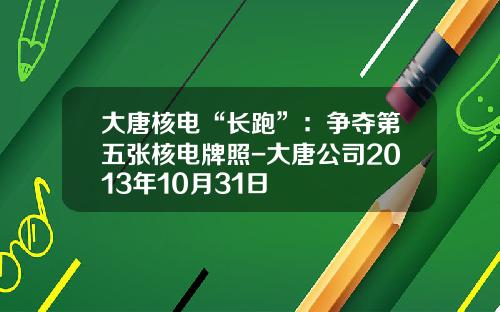 大唐核电“长跑”：争夺第五张核电牌照-大唐公司2013年10月31日
