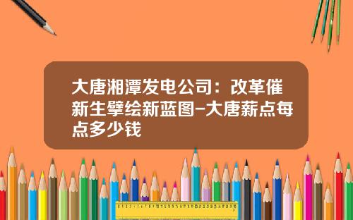 大唐湘潭发电公司：改革催新生擘绘新蓝图-大唐薪点每点多少钱