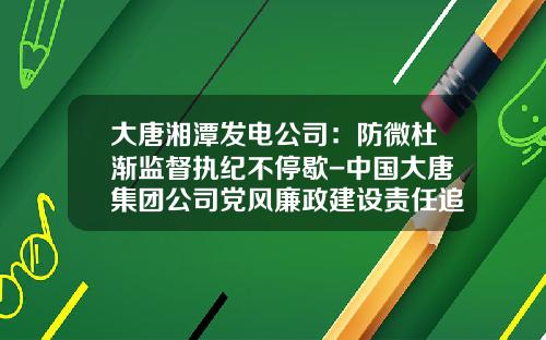 大唐湘潭发电公司：防微杜渐监督执纪不停歇-中国大唐集团公司党风廉政建设责任追究办法