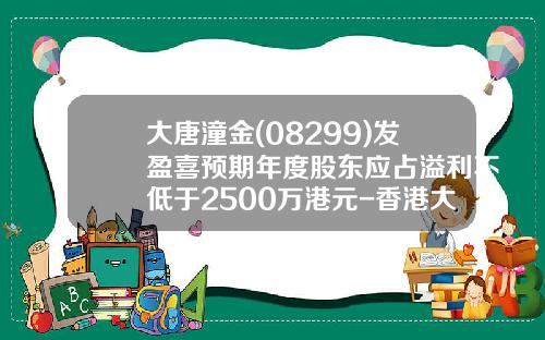 大唐潼金(08299)发盈喜预期年度股东应占溢利不低于2500万港元-香港大唐潼金控股有限公司