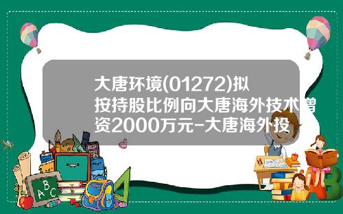 大唐环境(01272)拟按持股比例向大唐海外技术增资2000万元-大唐海外投资有限公司印尼代表处