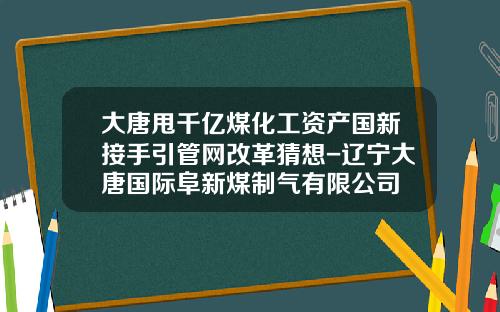 大唐甩千亿煤化工资产国新接手引管网改革猜想-辽宁大唐国际阜新煤制气有限公司