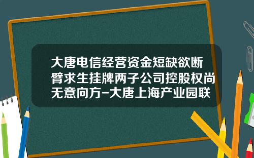 大唐电信经营资金短缺欲断臂求生挂牌两子公司控股权尚无意向方-大唐上海产业园联芯科技公司