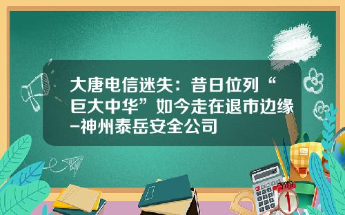 大唐电信迷失：昔日位列“巨大中华”如今走在退市边缘-神州泰岳安全公司
