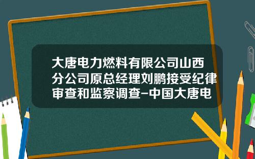 大唐电力燃料有限公司山西分公司原总经理刘鹏接受纪律审查和监察调查-中国大唐电力集团公司
