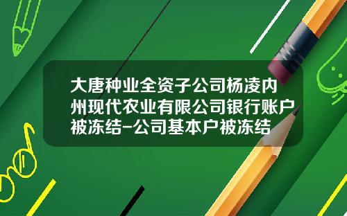 大唐种业全资子公司杨凌内州现代农业有限公司银行账户被冻结-公司基本户被冻结