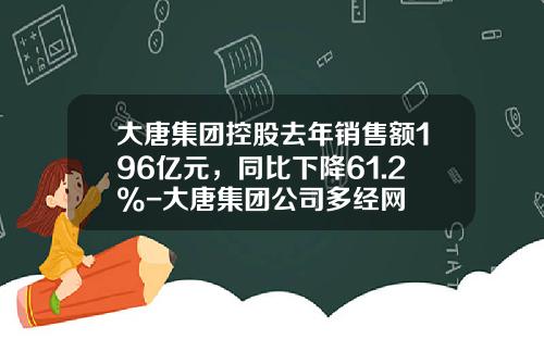 大唐集团控股去年销售额196亿元，同比下降61.2%-大唐集团公司多经网