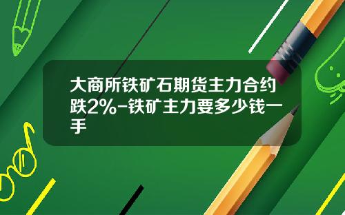大商所铁矿石期货主力合约跌2%-铁矿主力要多少钱一手