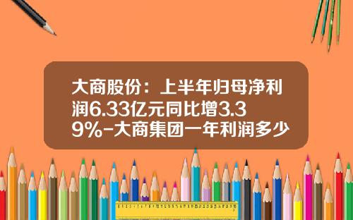大商股份：上半年归母净利润6.33亿元同比增3.39%-大商集团一年利润多少