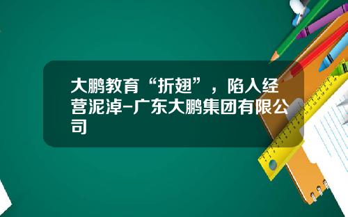 大鹏教育“折翅”，陷入经营泥淖-广东大鹏集团有限公司