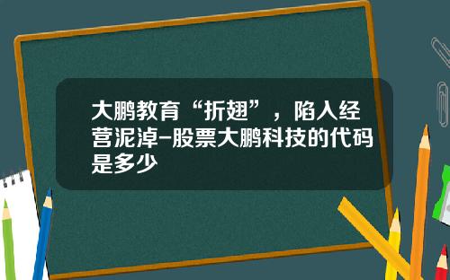 大鹏教育“折翅”，陷入经营泥淖-股票大鹏科技的代码是多少