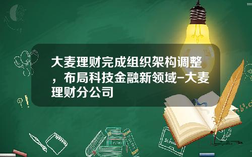 大麦理财完成组织架构调整，布局科技金融新领域-大麦理财分公司