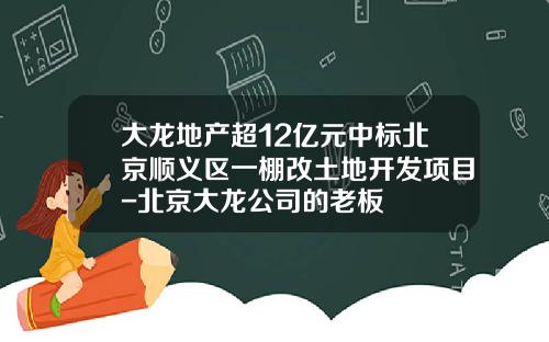 大龙地产超12亿元中标北京顺义区一棚改土地开发项目-北京大龙公司的老板