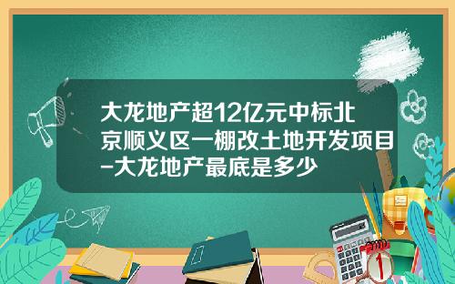 大龙地产超12亿元中标北京顺义区一棚改土地开发项目-大龙地产最底是多少