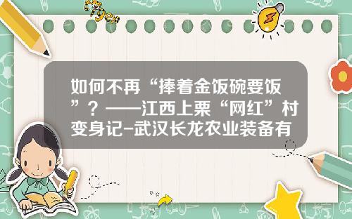 如何不再“捧着金饭碗要饭”？——江西上栗“网红”村变身记-武汉长龙农业装备有限公司