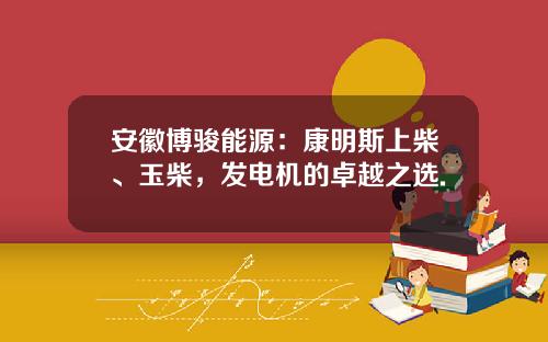 安徽博骏能源:康明斯上柴、玉柴,发电机的卓越之选.