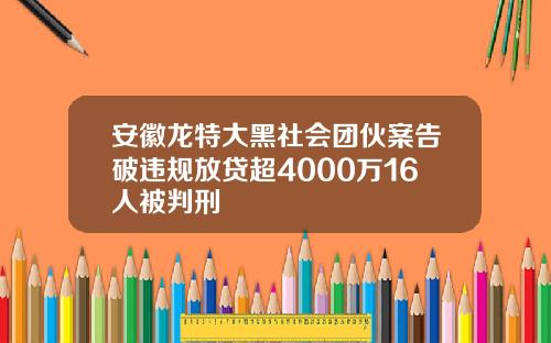 安徽龙特大黑社会团伙案告破违规放贷超4000万16人被判刑