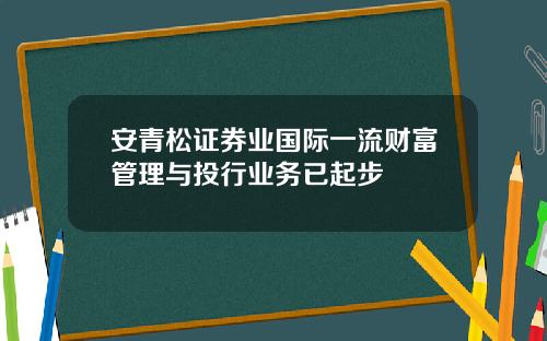 安青松证券业国际一流财富管理与投行业务已起步