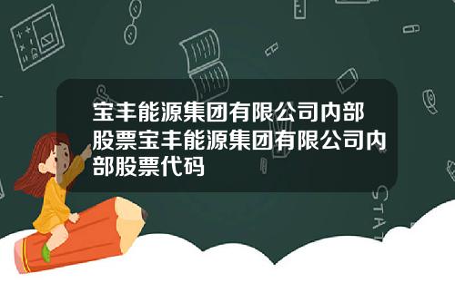 宝丰能源集团有限公司内部股票宝丰能源集团有限公司内部股票代码