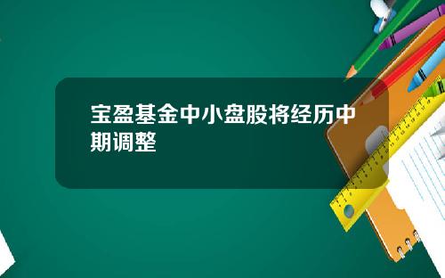 宝盈基金中小盘股将经历中期调整