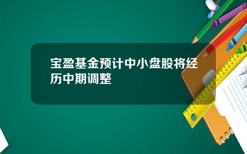 宝盈基金预计中小盘股将经历中期调整