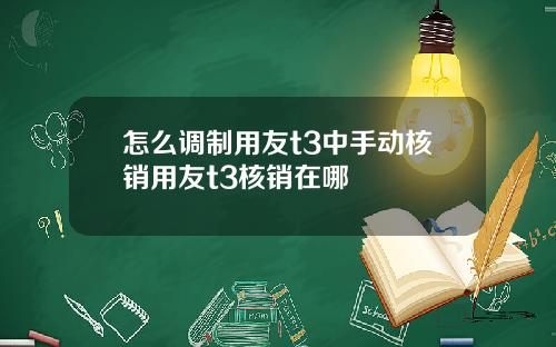 怎么调制用友t3中手动核销用友t3核销在哪