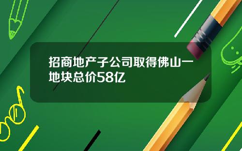招商地产子公司取得佛山一地块总价58亿