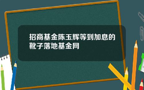 招商基金陈玉辉等到加息的靴子落地基金网