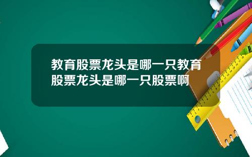教育股票龙头是哪一只教育股票龙头是哪一只股票啊