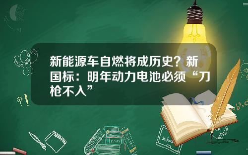 新能源车自燃将成历史？新国标：明年动力电池必须“刀枪不入”