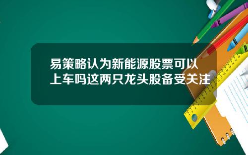 易策略认为新能源股票可以上车吗这两只龙头股备受关注