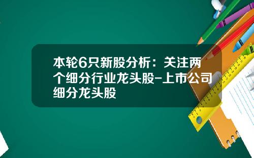 本轮6只新股分析：关注两个细分行业龙头股-上市公司细分龙头股