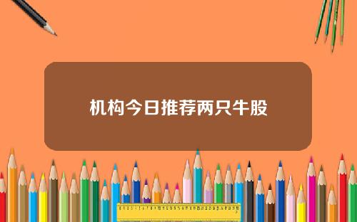 机构今日推荐两只牛股